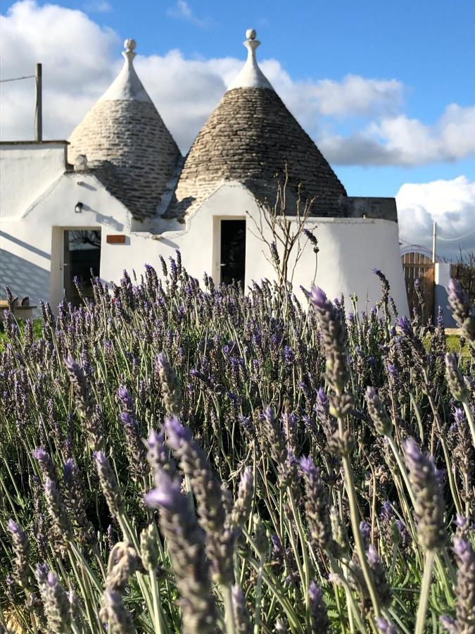 Trullo Trilli Puglia Villa มาร์ตินาฟรังกา ภายนอก รูปภาพ